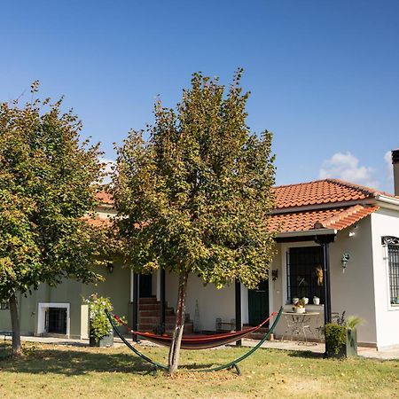 The Hobbit Hole Villa Tríkala Екстериор снимка